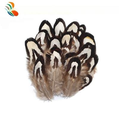 China 4-6cm Size Pattern Dyed Natural Pheasant Feather With Wire Accessory for sale