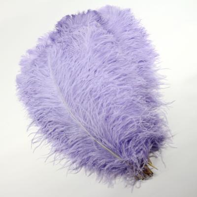 China Carnival Costumes Decoration Millinery Feather , Ostrich Plume Feathers Multi Colored for sale