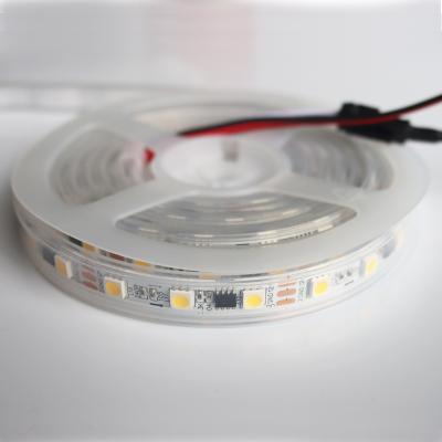 China Hotel High Lumen Digital 60led RGB LED Strip WS2812B 2811 Programmable Magic White Clear IP68 Strip for sale