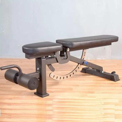 China Adjustable Gym Fitness Training Equipment Dumbbell Bench for sale