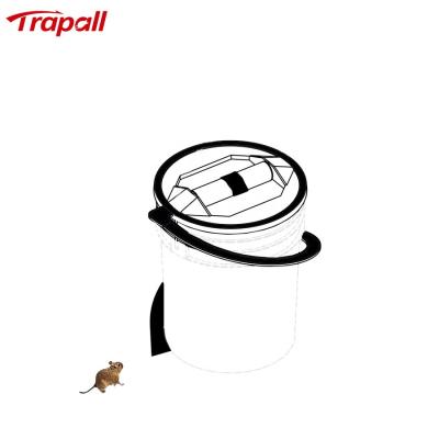 China Viable Reusable Plastic Bucket Spiral Wrap Around Straight Ramp Rodent Control Mouse Trap for sale