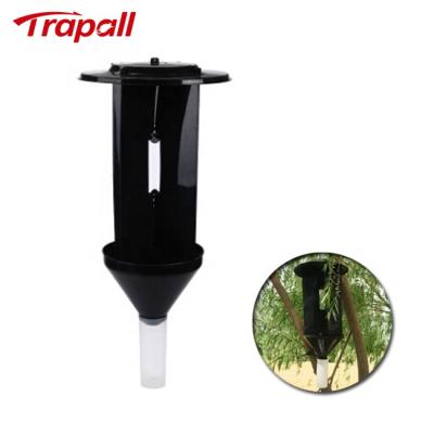 China Viable Outdoor Plastic Asian Long-Horned Beetle Pheromone Lure Longhorned Trap for sale