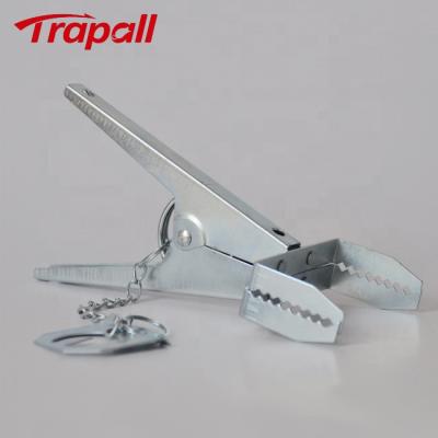 China Viable Outdoor Metal Scissors Mouse Gopher Catcher Mole Trap With Teeth for sale