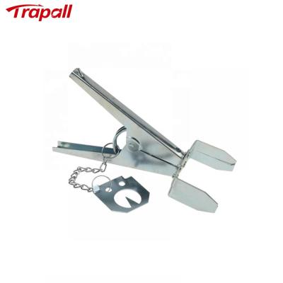 China Viable Outdoor Metal Scissors Mouse Gopher Set Easy Set Mole Trap for sale