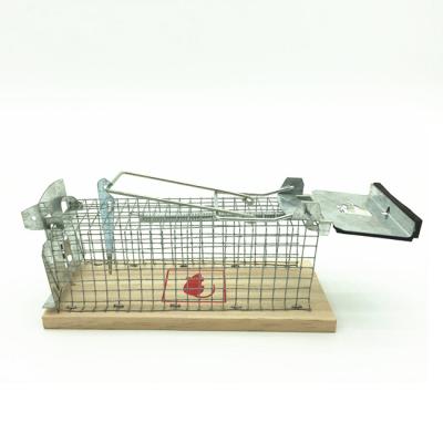 China Live Catch Metal Rodent Control Viable Humane Mouse Trap Cage With Wooden Base for sale