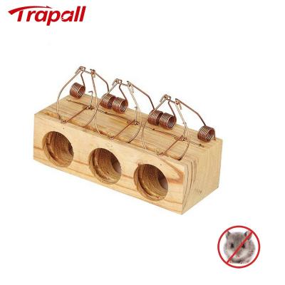 China EPA Viable Humane Multi-hook Wooden Hole Rat Rodent Killer Mouse Trap for sale