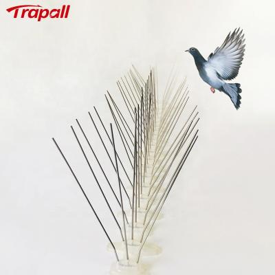 China Flexible Sparrow Cat Control Anti Bird Spikes Viable Outdoor Garden Pigeons for sale