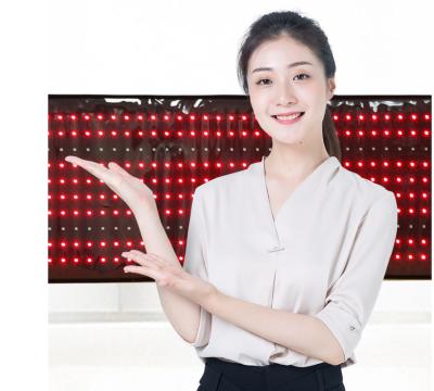 China Beauty Center / Home Diet Wrap / Photon LED Body Red Light Whole Body Clinic Large Size for sale