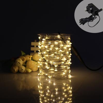 China Holiday Decoration And Any Celebration 10m 100 LED 12V Copper Wire Waterproof Blue Light String Light For Decoration for sale