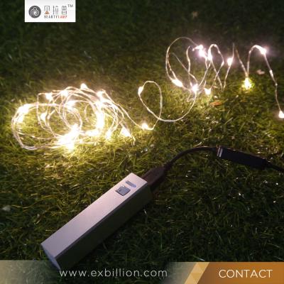 China It Is Used To Decorate Home Hot Customized USB Powered Micro Naked LED Wire String Light for sale