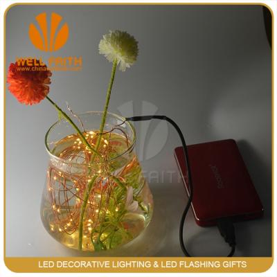 China Copper Wire Or Silver Wire Are Available Wholesale Mini USB Warm White Christmas Fairy Led String Light for sale