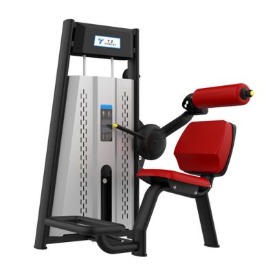 China New Design Gym Fitness Back Extension Equipment Commercial Gym Equipment Commercial Use Fitness for sale