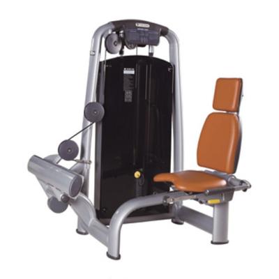 China Commercial gym rotary calf fitness equipment use fitness equipment tianzhan for sale