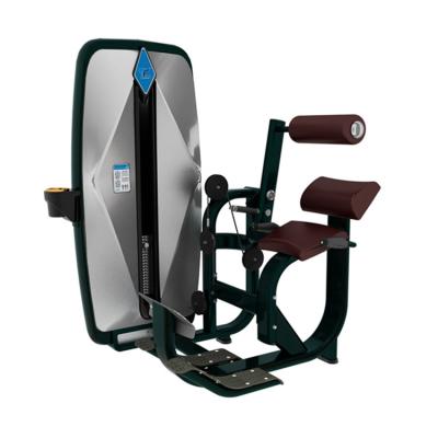 China TZ fitness center - 9006 commercial back extensions/commercial fitness gym equipment for sale