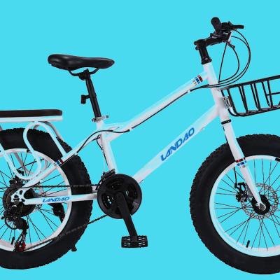 China Popular China Material Max Motor Frame Power Wheel 48V 250W 22 Inch Cartoon Ebike Lithium Battery Electric Bicycle for sale