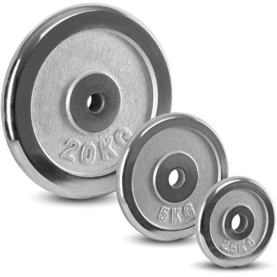 China Cheap Eco - Friendly Gym Equipment Fitness Silver Plated Cast Iron Weight Plate Barbell Dumbbell Dumbbell Weight Plate for sale