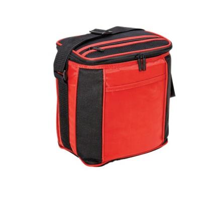 China 2021 Factory Thermal Cooler Bag Travel Cooler Bag Portable Cake Cooler Bag for sale