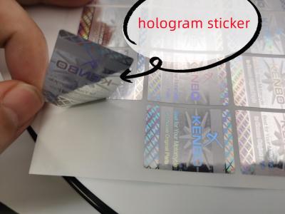 China customized label stickers are perfect for hologram stickers  changable QR code label for sale