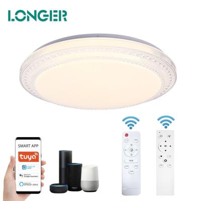 China Wholesale Outdoor Mounted Smart Home Lights RGB Ceiling Light Led Ceiling Fixture Can Control With Alexa Google Home for sale