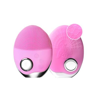 China Other Factory Wholesale Skin Care Face Brush Facial Cleansing Brush for sale