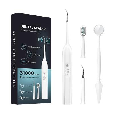 China Dental Electric Dental Tartar Removal Remover Ultrasonic Tooth Remover Tooth Print Plaque Remover Sonic Brushing Teeth Cleaning Logo Cleaning Tool for sale