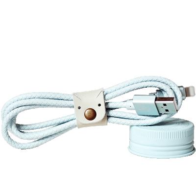 China Hottest Selling MP3/MP4 Player Magnetic USB Cable Data Transfer For iPhone for sale