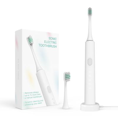 China Hot Sale Wholesale Replacement Travel Size Slim Vibrating Electric Toothbrush 800mAh for sale