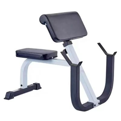 China General Adjustable Strength Seated Preacher Curl Bench Glute Ham Developer Arm Curl Bench for Gym Training Preacher Curl Bench for sale