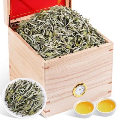 China Compressed Tea Loose Leaf Slimming Fuding Organic Unique Silver White Needle Tea Bai Hao Yin Zhen Tea for sale