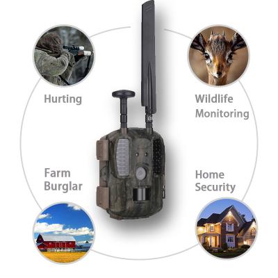 China 4G/3G/2G Balever Animal Tracking Camera 4G Hunting Camera Supply 1 Year Camera IP66 Waterproof High Quality Manufacturer Warranty for sale