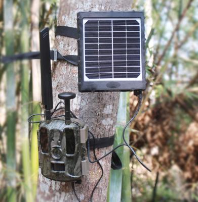 China Portable 3W 6V/9V/12V Silicon Solar Panel Monocrystalline Trail Camera with 8000mAh Built-in Battery IP66 Waterproof for Hunting Game Camera for sale