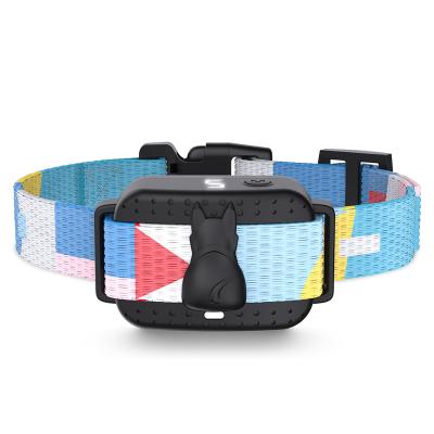 China Pedono Viable Pet Supplies Cat Collar Personalized Colorful Dog Agility Performance Training Equipment for sale