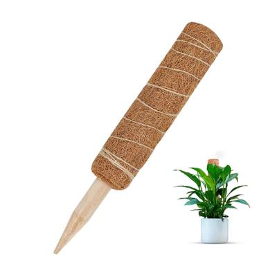 China Eco-Friendly 30Cm 40Cm 45Cm Coir Moss Stick 264 Inch Potted Plants 20 Paper Twist Totem Pole For Growing Plant Support Extension Pole for sale