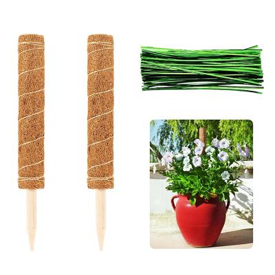 China Moss Stick Set Plant Climbing Eco-Friendly Pole Rod Pot Plant Support 200Cm 25ft Jute Plants Grow North Pole Seaweed 100Cm 120Cm 150Cm 160Cm for sale