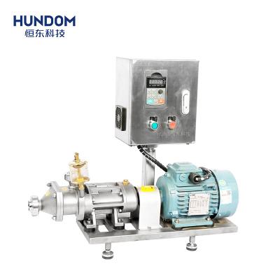 China Automotive Industry Sugar Syrup Pump Stainless Steel Hot Selling Hygienic Twin Screw Pump for sale