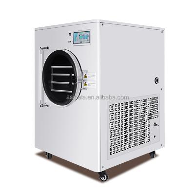 China 1-10kg Vacuum Fruit Freeze Drying Machines Mini Vegetables Lyophilizer Food Freeze Dryer for sale