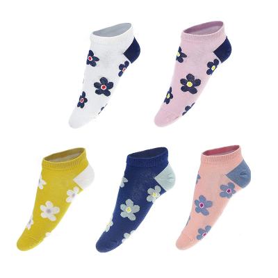 China Antibacterial Women's Socks Cotton Funny Casual Cute Low Cut No Show Sock Plain Women's Socks Custom Ankle for sale