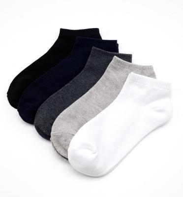 China Good quality simple design sporty color men pure cotton no show socks men custom logo for sale