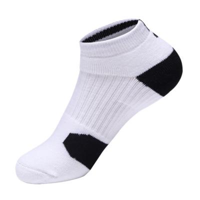 China Wholesale OEM Ankle Sport Breathable Low Cut Socks 100% Cotton Custom Men's Socks for sale