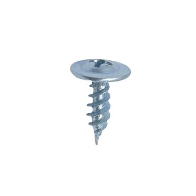 China Truss Manufacturer Price High Quality with Phill Drive Truss Head Self-Tapping Screws for sale