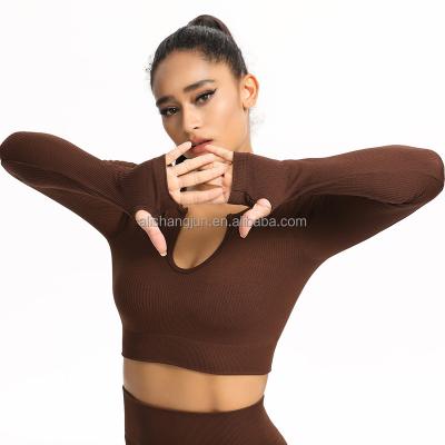 China Sale New Fashion Women Seamless Sportswear Long Sleeve Breathable Warm Yoga Suit Set For Fitness Sport Gym Running for sale