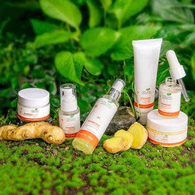 China Vegan Anti Aging Face Care Whitening Turmeric Skin Care Set Whitening Anti Aging Skin Care Facial Turmeric Set CreamToner Serum Mask Set for sale