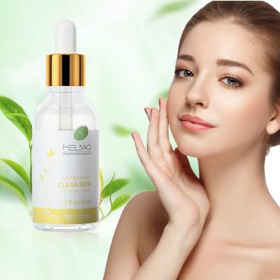 China Anti-Wrinkle Skin Care Private Label Tea Tree Serum Organic Naturals Replace Skin Herbal Tea Tree Serum ODM OEM for sale