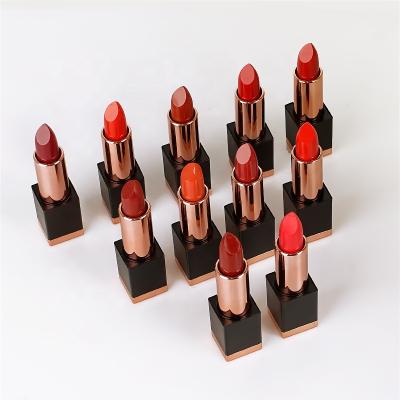 China Private Label Wholesale Korean Vegan Waterproof Nude Long Lasting Red Matte Lipstick for sale