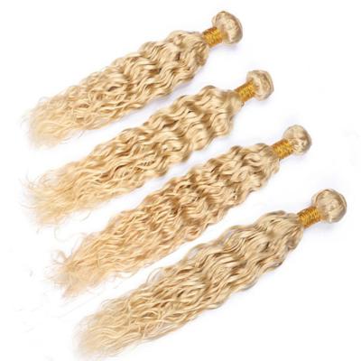 China Water Wave Manufacturer Supply Brazilian Lace Front Wigs Gold Water Wave Hair Bundles for sale