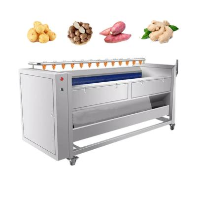 China Washing and Peeling Potato Ginger Vegetable Washing and Peeling Machine for sale