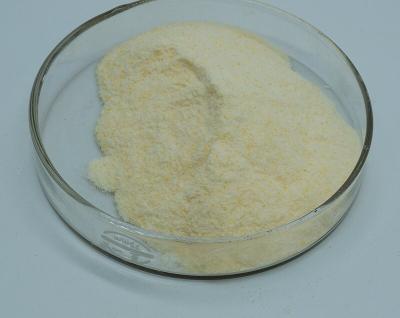 China 99% Activity Xylanase Enzyme Food Additive Water Soluble for sale