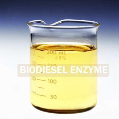 China Produced Biosurfactants Lipase Enzyme For Improved Biodiesel Recovery for sale