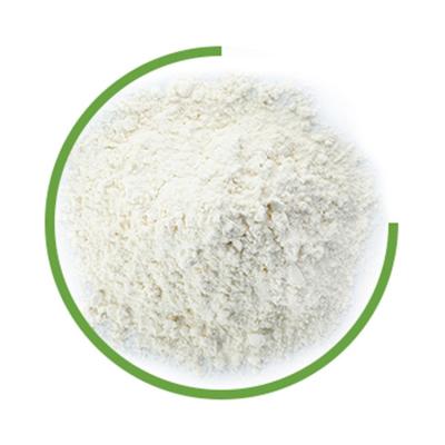 China Powder Enzyme Food Additive break down protein biocatalysis for sale