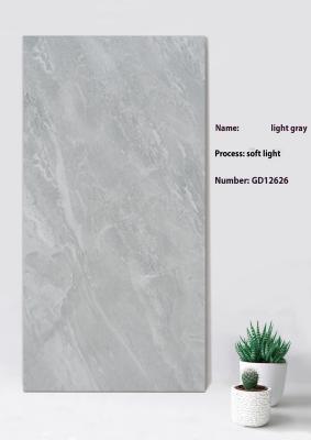 China Antibacterial Light Gray Soft Light Thick Wall Tile For Pet Shop And Aquarium 600x1200mm for sale